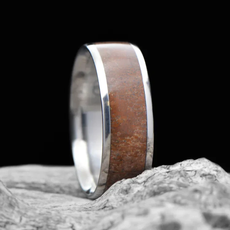The Fossil - Image 2