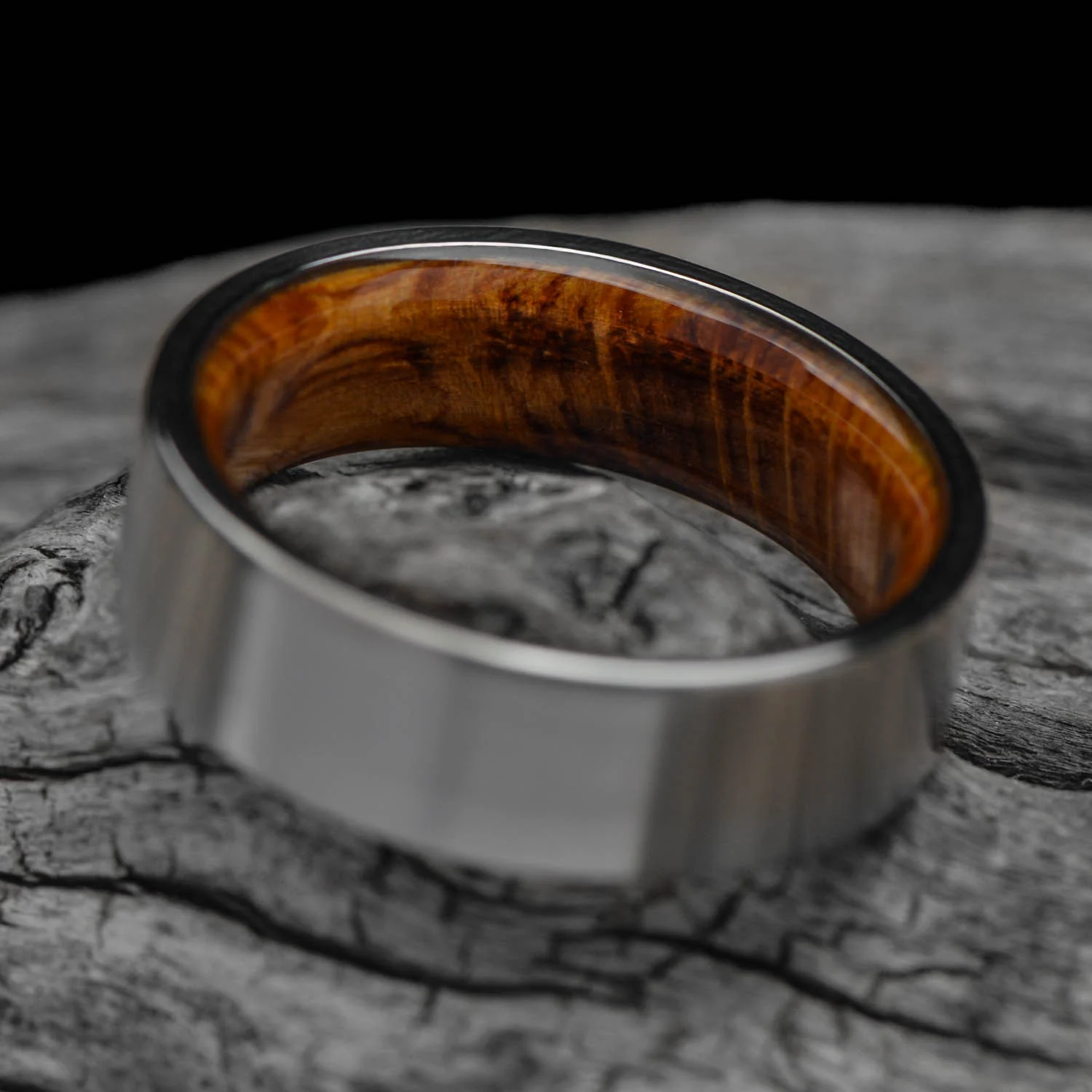 The Segment - Image 3